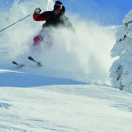 Hotel Wellnesshotel Schoenruh - Adults Only Seefeld in Tirol