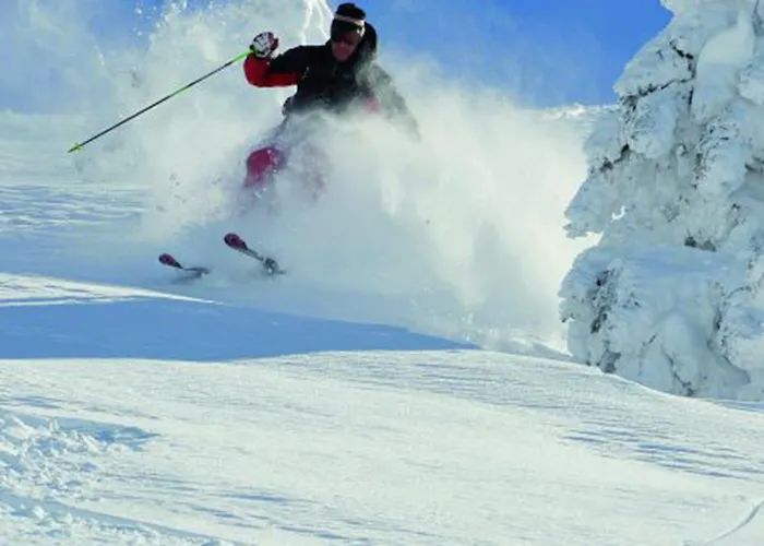 호텔 Wellnesshotel Schoenruh - Adults Only 제펠드 인 티롤